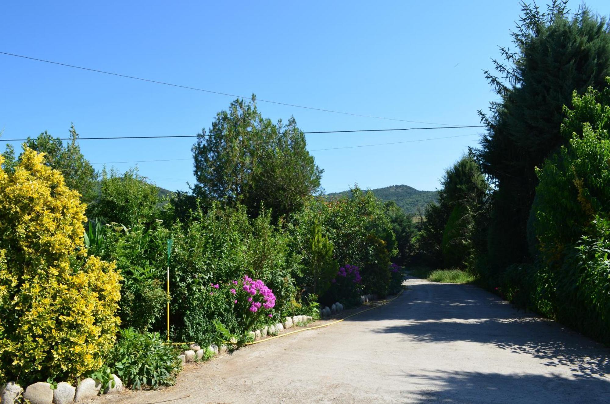 Casa Rural La Vall Del Cadi Σέου δ' Ουρζέλ Εξωτερικό φωτογραφία